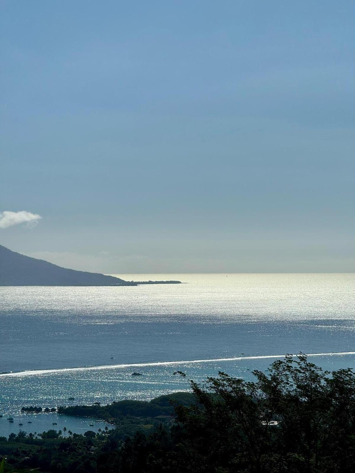 Studio Confort Avec Piscine Et Vue Tahiti Punaauia Экстерьер фото