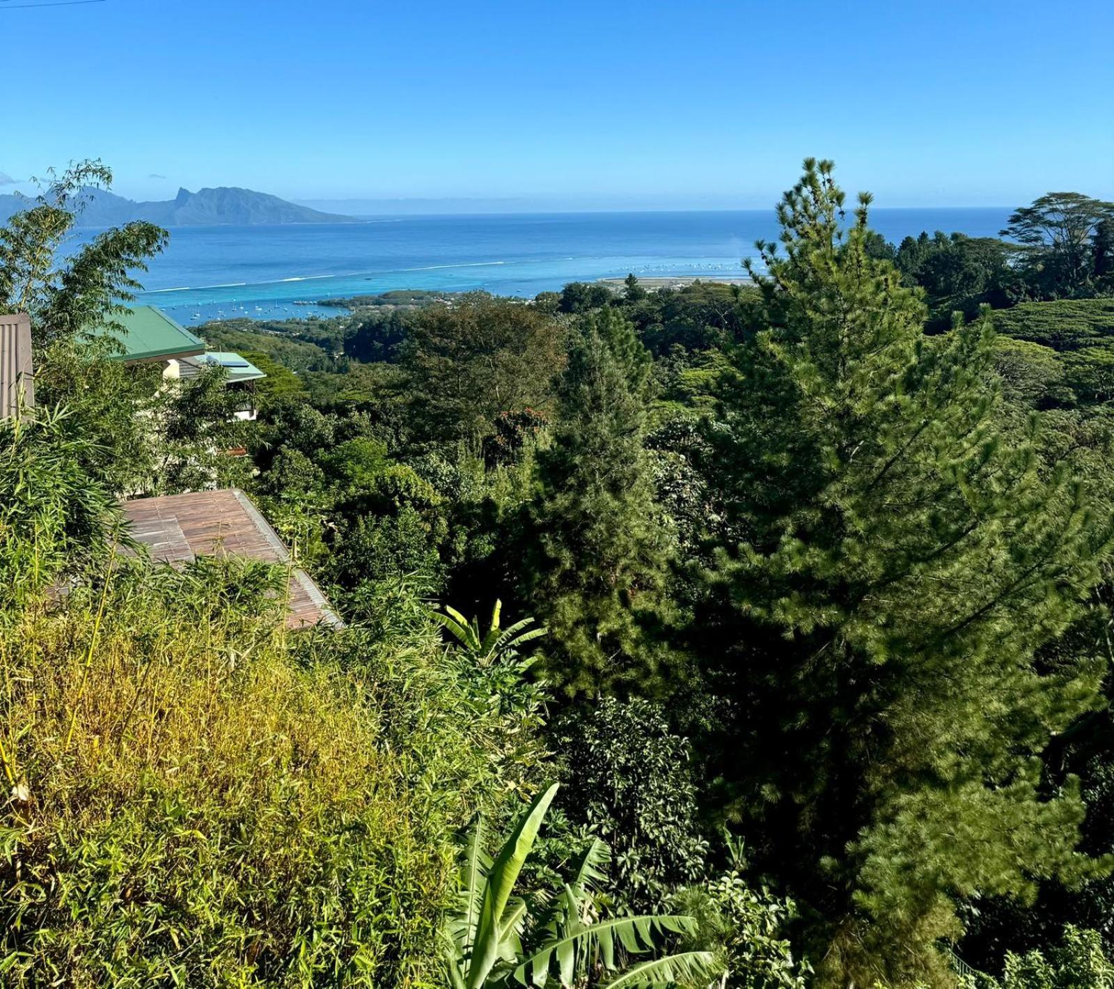 Studio Confort Avec Piscine Et Vue Tahiti Punaauia Экстерьер фото